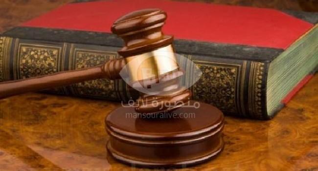 القضاء الإداري يقضي بإعادة الانتخابات علي مقاعد الفردى بدائرة المنصورة