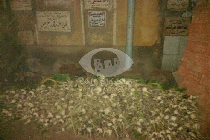 مقابر قرية ميت محمود بمركز المنصورة مخزن للخضر