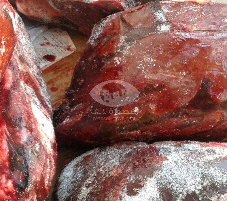 ضبط 2,5 طن من اللحوم غير الصالحة للاستهلاك الادمى بالدقهلية