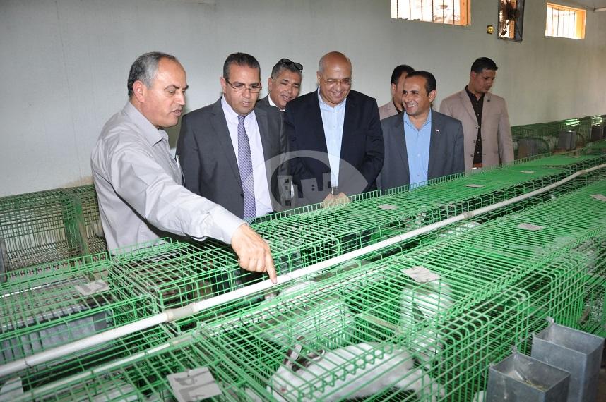 رئيس جامعة المنصورة يفتتح وحدة انتاج الأرانب الجديدة بكلية الزراعة