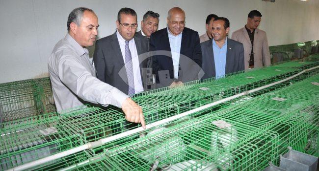 رئيس جامعة المنصورة يفتتح وحدة انتاج الأرانب الجديدة بكلية الزراعة