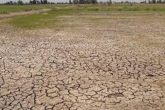 اراضى 42 قرية بمركز بلقاس مهددة بالبوار بسبب نقص مياه الرى