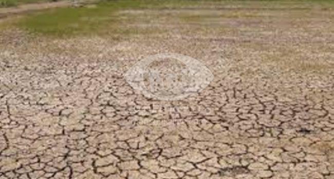 اراضى 42 قرية بمركز بلقاس مهددة بالبوار بسبب نقص مياه الرى